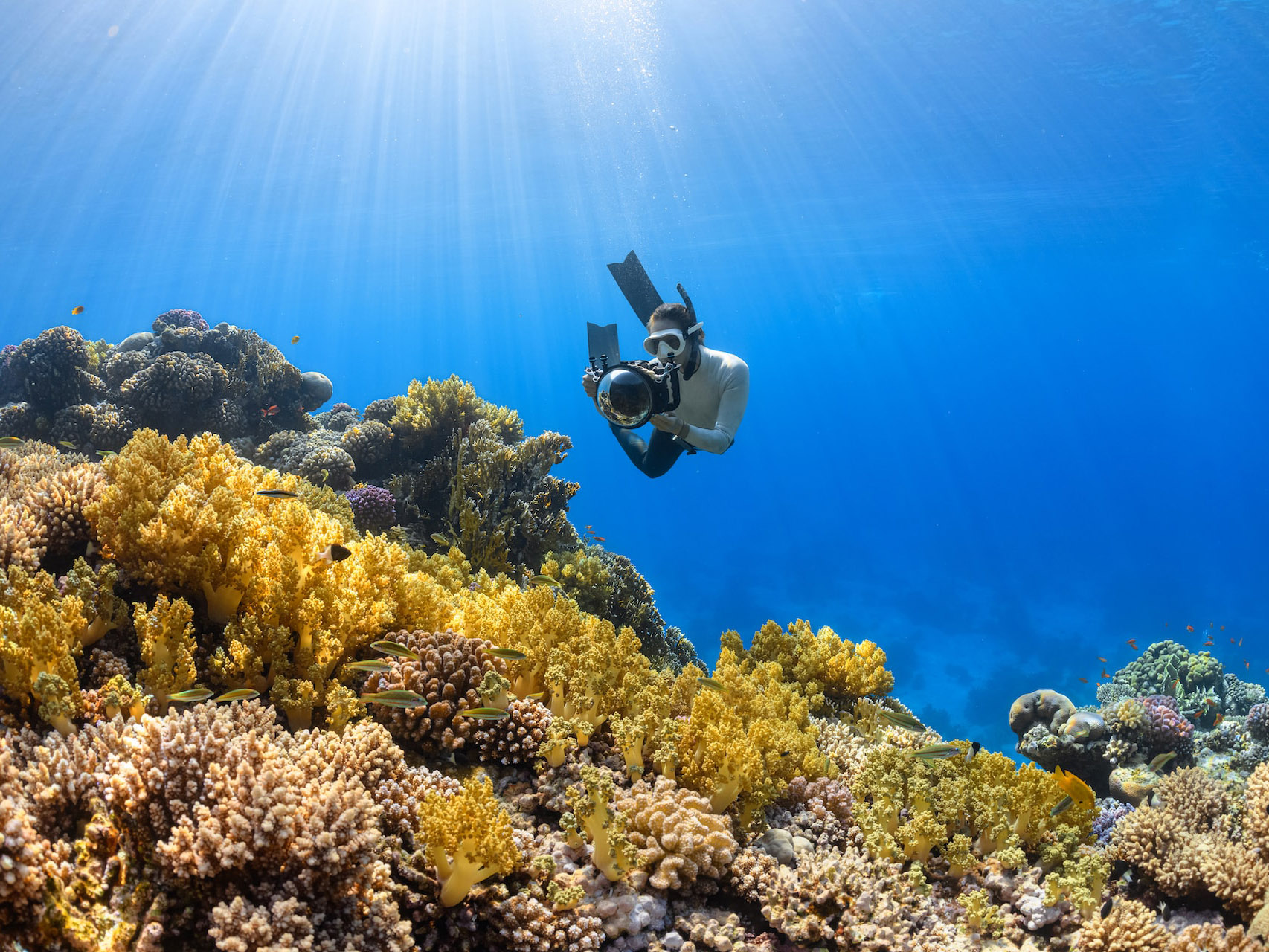  企业如何借助CloudCC CRM打造中国式营销新模式?